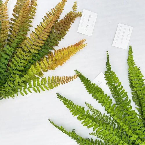 feuilles de fougère artificielles pour décoration festive 14 pièces