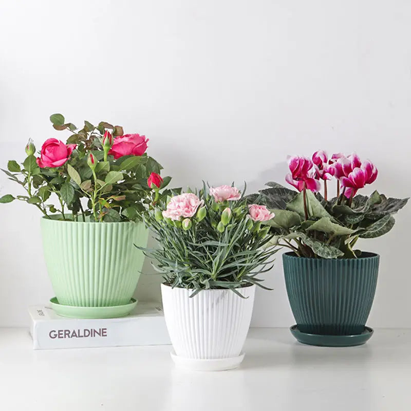 pot de fleurs rond pour succulentes avec plateau décoratif extérieur - vue 4 sur 10