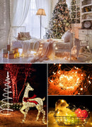 guirlande lumineuse à led avec télécommande pour fêtes et événements