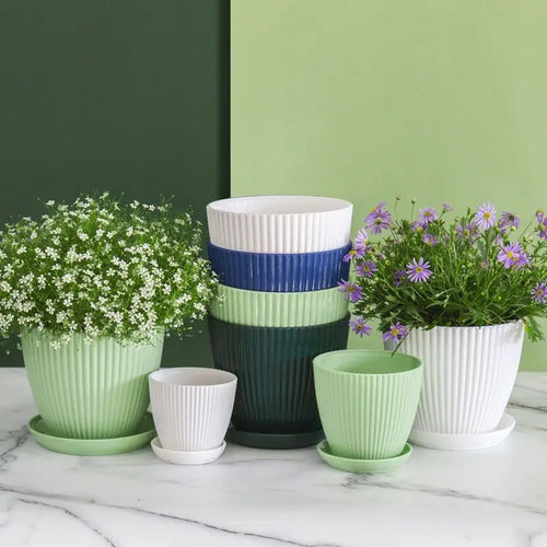 pot de fleurs rond pour succulentes avec plateau décoratif extérieur