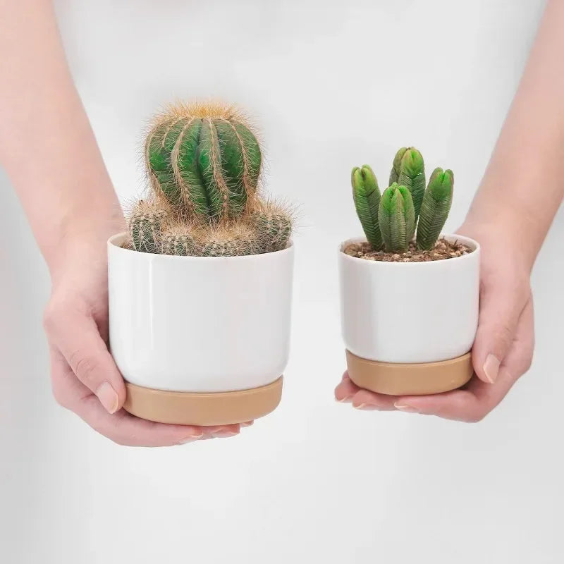 pot rond à double couche pour plantes succulentes - vue 4 sur 10