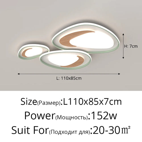48656887087450|48656887218522