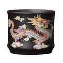 Théière argile violette dragons phénix style gongfu