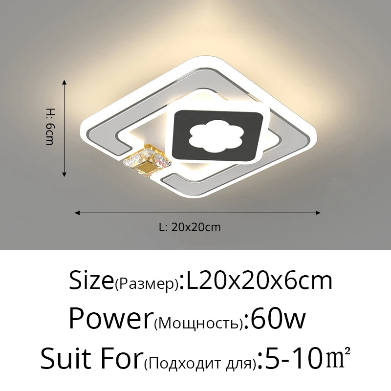 48570892976474