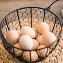 panier à œufs en métal pour rangement de cuisine