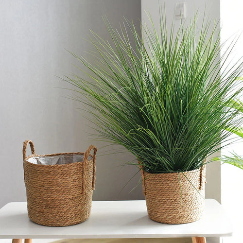 panier de rangement en jonc de mer fait main pour plantes et fleurs