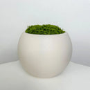 pot de fleurs en plastique pour décoration moderne et élégante