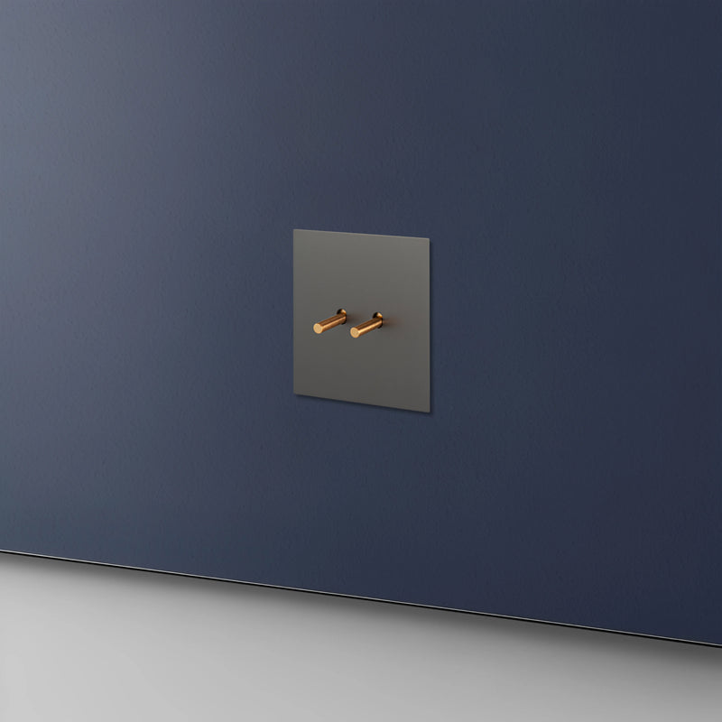 Prise électrique et double USB type C (Europe) en acier gris brossé