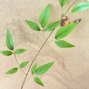 bouquet de feuilles de bambou artificielles pour décoration florale