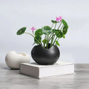pot de fleurs hydroponique rétro en céramique pour plantes succulentes