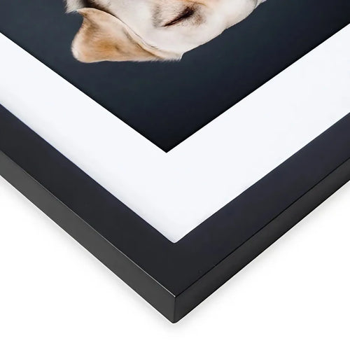 Versatile photo frames in different sizes, suitable for wall or table display, modern design, suitable for home (Black) - vue 6 sur 7