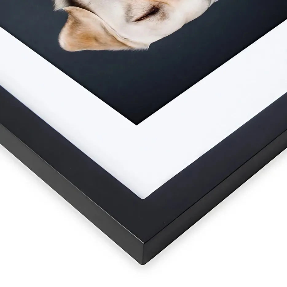 Versatile photo frames in different sizes, suitable for wall or table display, modern design, suitable for home (Black) - vue 5 sur 7