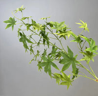 plantes artificielles en soie décoratives feuillage d'érable pour intérieur
