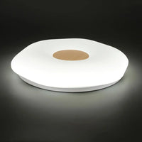 LED-Deckenleuchten Vintage für industrielle und retro-inspirierte Innendekoration
