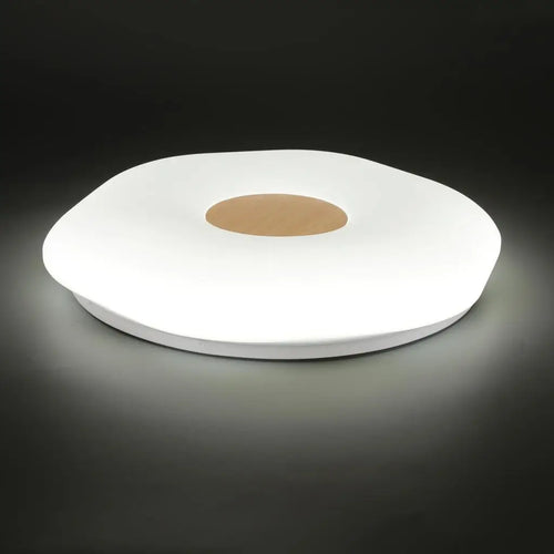 LED-Deckenleuchten Vintage für industrielle und retro-inspirierte Innendekoration