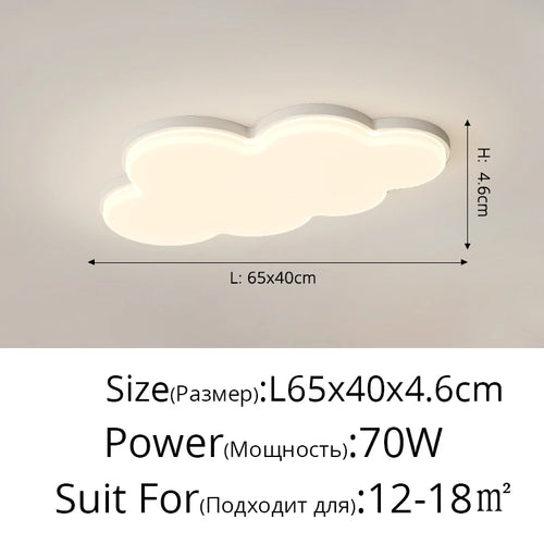 48234005954906|48234005987674