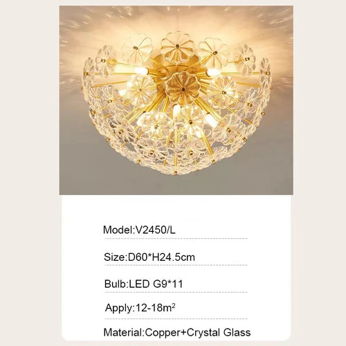 49452420039002