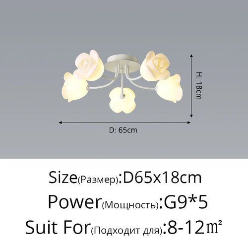 48613995905370|48613996527962