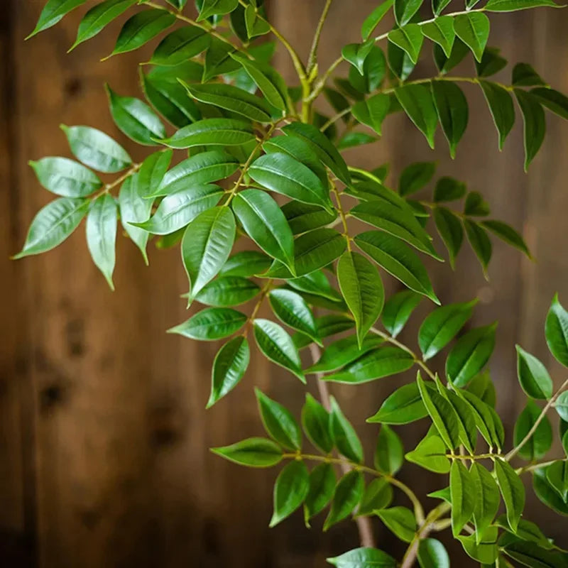 plantes artificielles pour décoration intérieure et extérieure - vue 6 sur 10