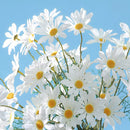 5 têtes de marguerites blanches fleurs artificielles pour décorations festives