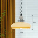 48520943960410