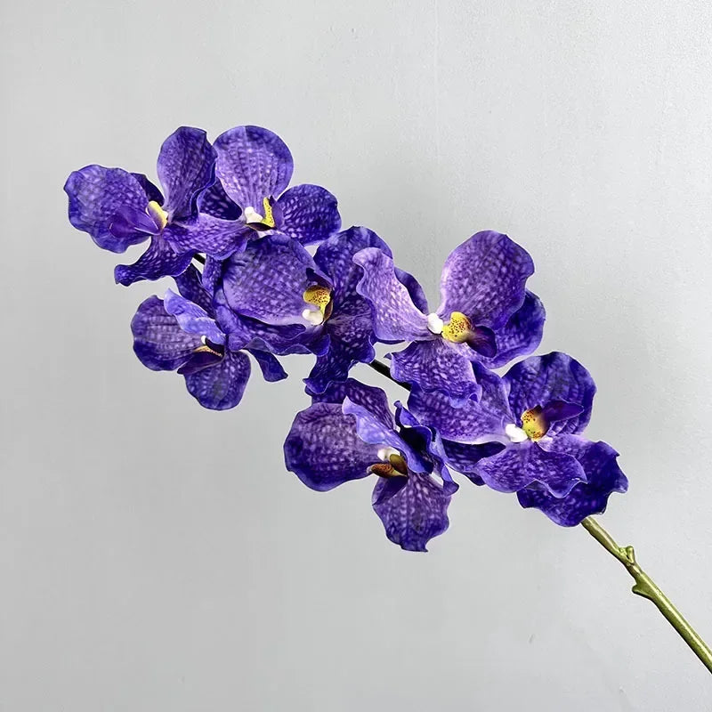 lot de 2 orchidées artificielles vanda pour décoration intérieure