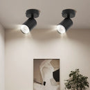 spot led remplaçable pour décoration intérieure moderne et élégante