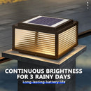 Dekorative LED-Solar-Außenleuchte mit Fernbedienung und vier Farben