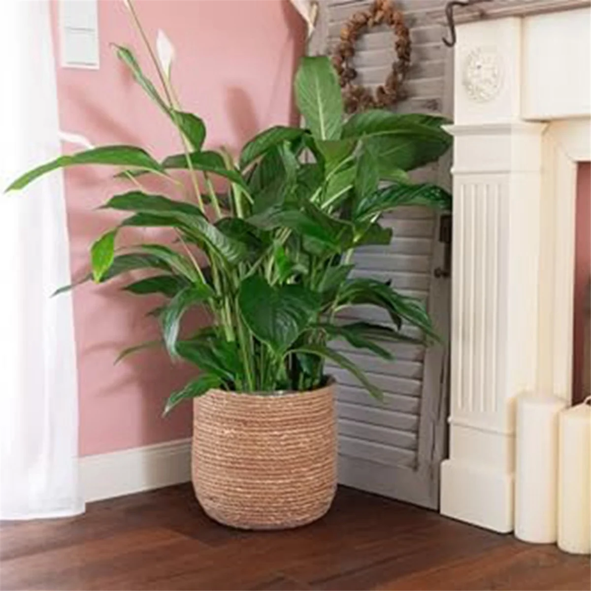 pot de fleurs tissé en jonc de mer style bohème décoratif - vue 7 sur 7