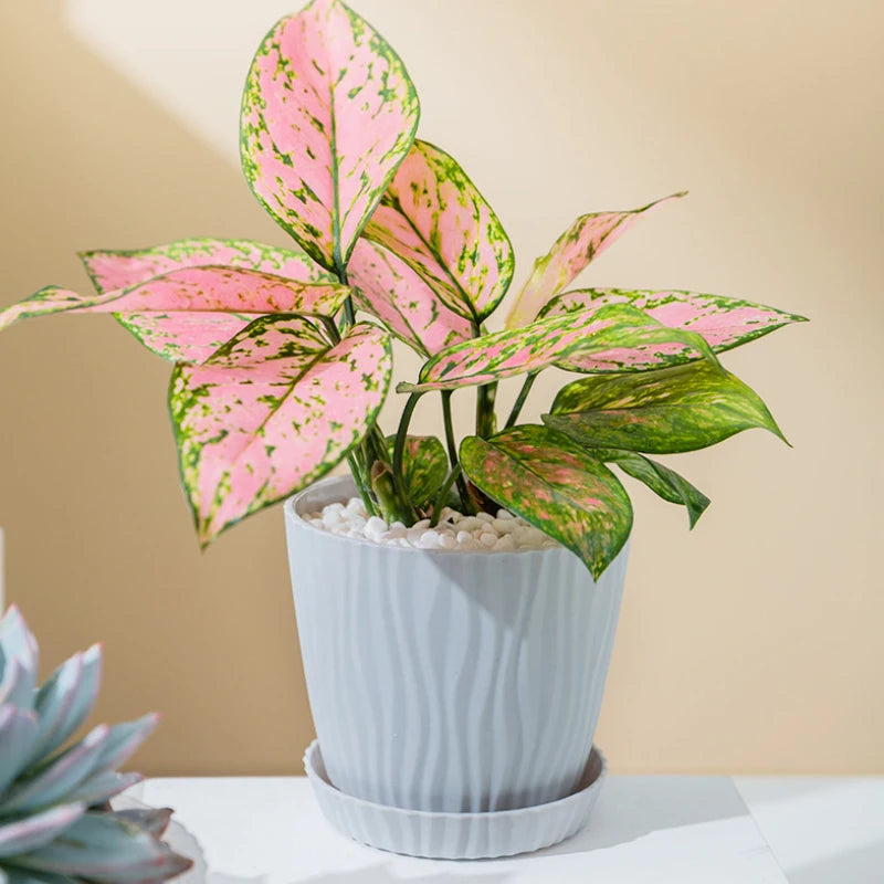 pot de fleurs haut simple en plastique à ondulations multicolore - vue 5 sur 8