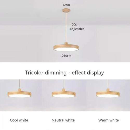 Lustre LED japonais à tête unique en rondins