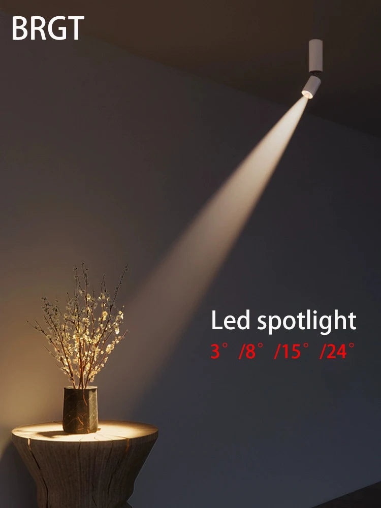 spot led à angle réglable pour un éclairage d'ambiance optimal