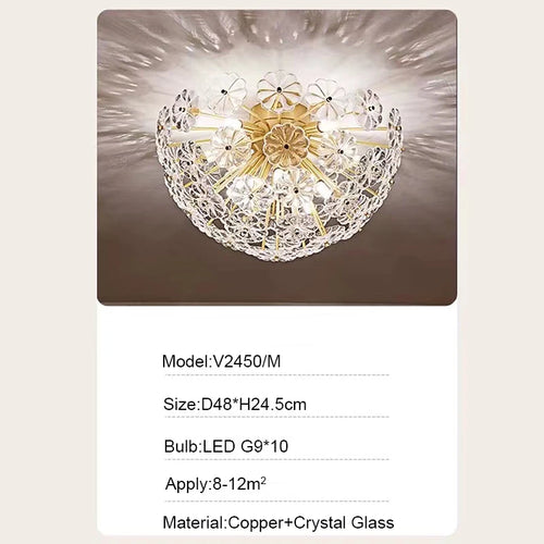 49452420006234