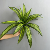agave artificiel 15 feuilles décoration florale pour intérieur