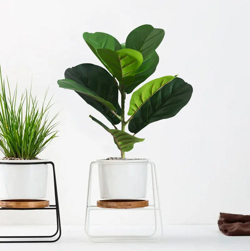 plantes artificielles ficus banyan pour décoration intérieure et extérieure