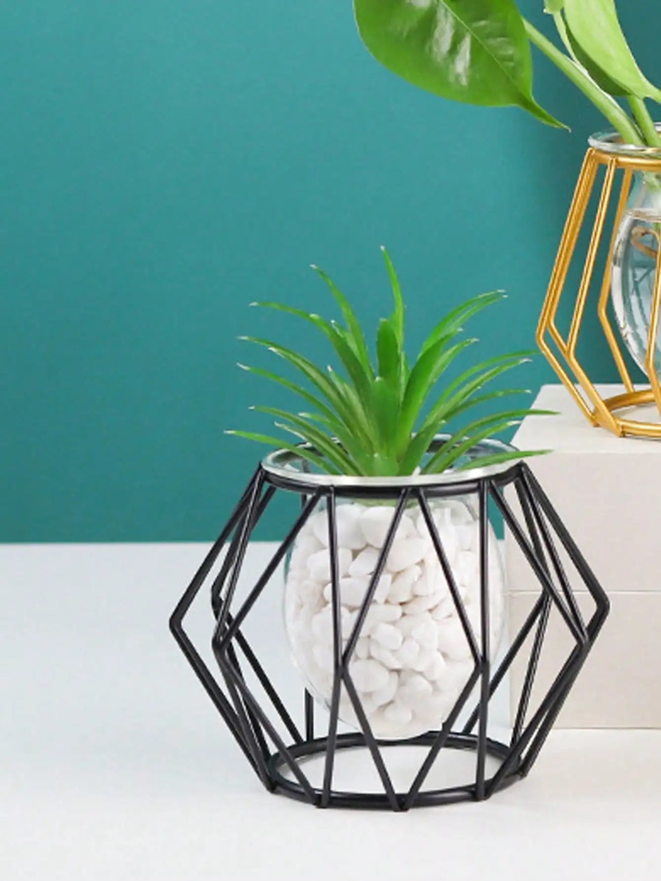 arrangement de fleurs transparent pour décoration intérieure avec plantes d'eau - vue 3 sur 6