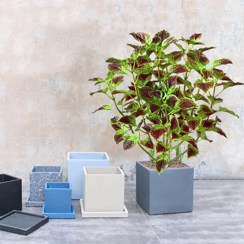 plante artificielle eucalyptus tropical pour décoration intérieure - vue 3 sur 8