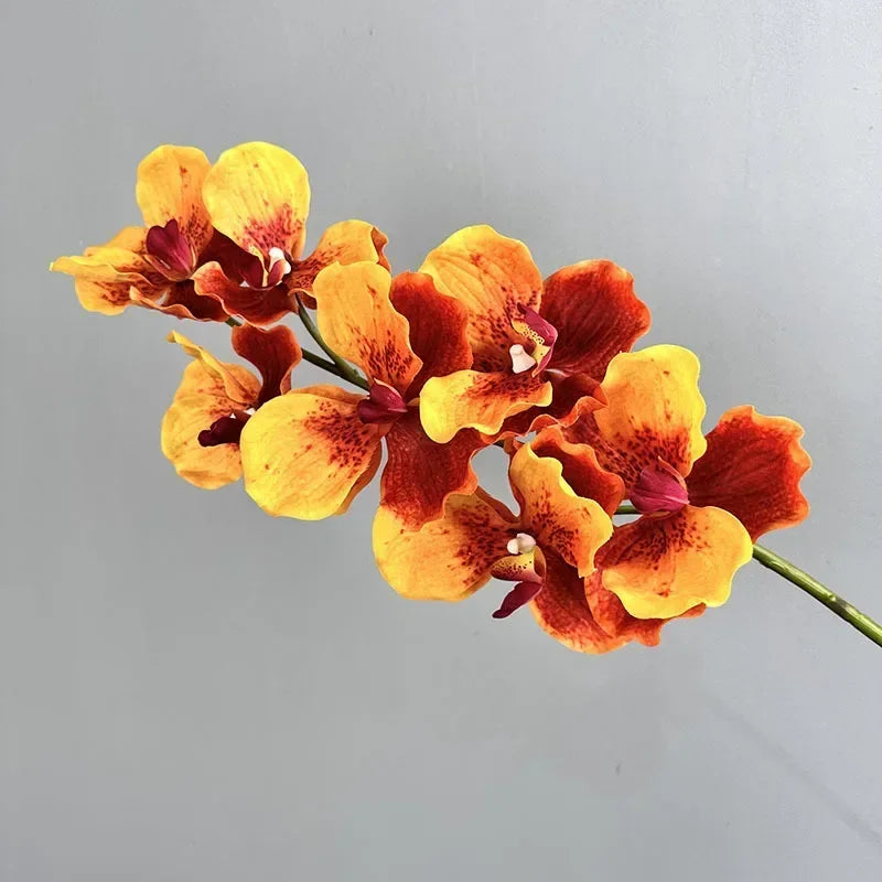 lot de 2 orchidées artificielles vanda pour décoration intérieure