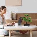 bonsaï artificiel genévrier pour décoration intérieure zen