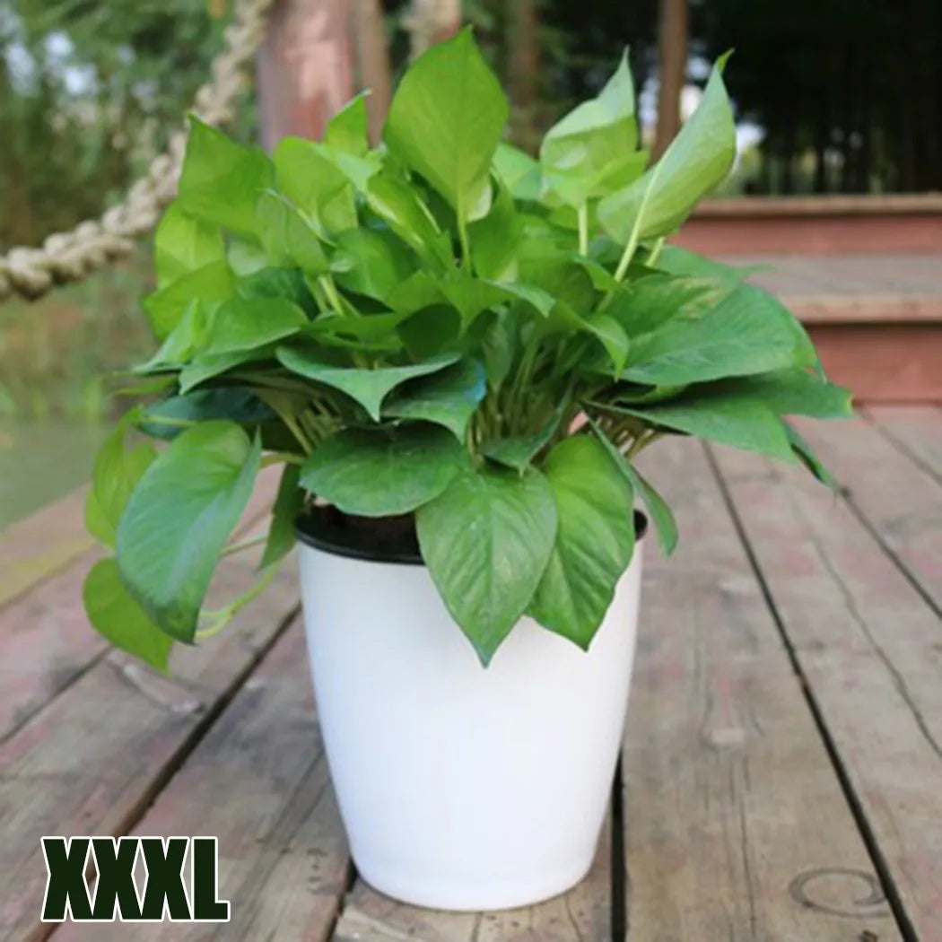 pot de fleurs automatique en plastique effet porcelaine - vue 9 sur 12