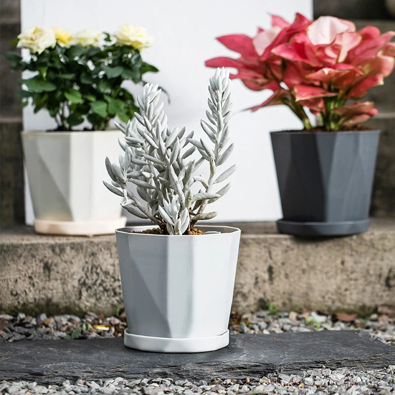 pot de fleurs en résine nordique pour plantes succulentes - vue 3 sur 9