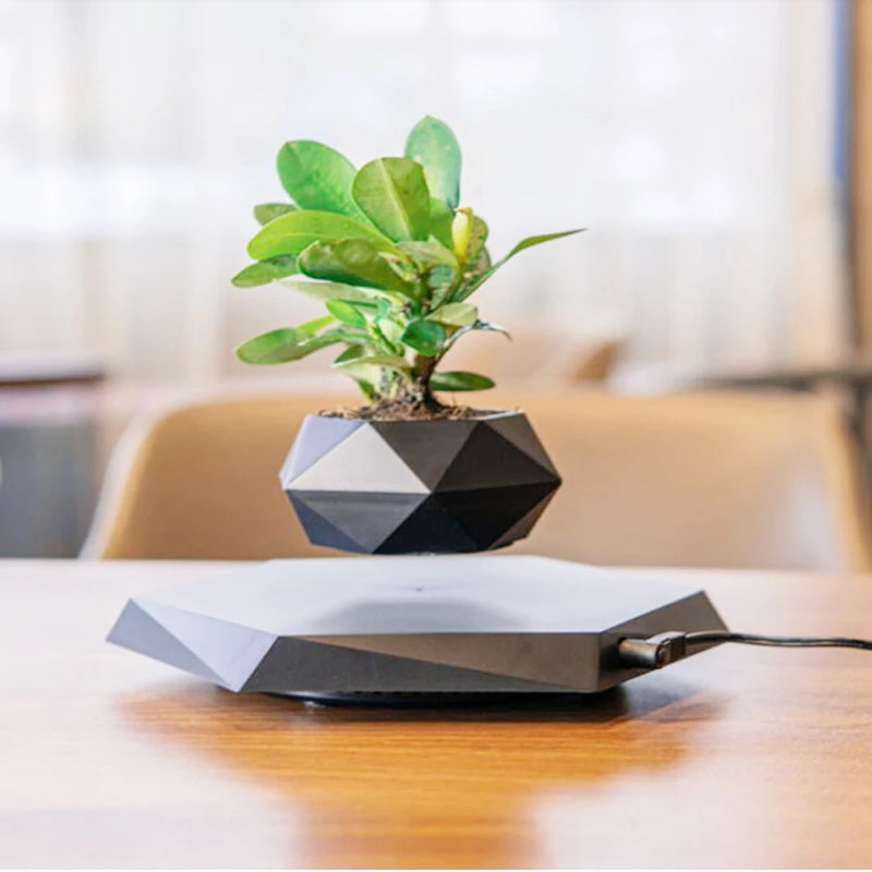 pot de bonsaï à lévitation magnétique pour décoration spéciale