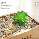 plantes succulentes artificielles décoratives pour un intérieur naturel
