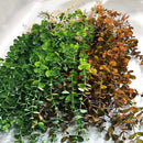 plantes artificielles en rotin pour décoration intérieure et extérieure