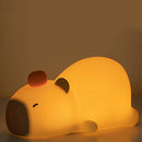 47868091302234