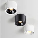 Spot lumineux LED COB pour plafond