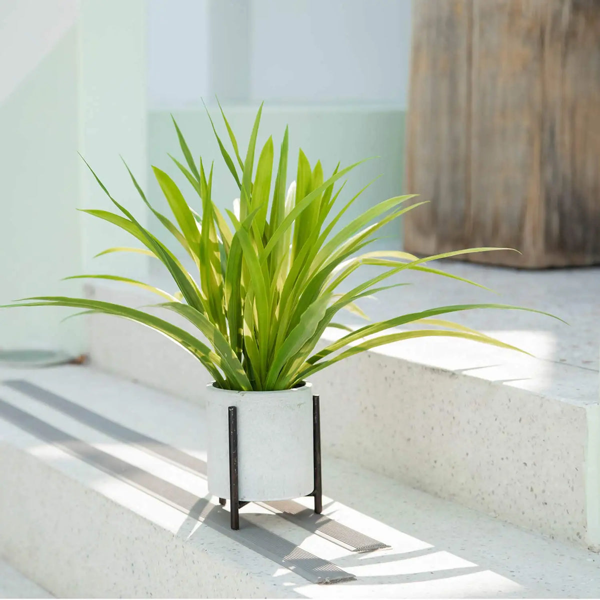 plantes artificielles chlorophytum pour décoration intérieure et extérieure - vue 5 sur 7