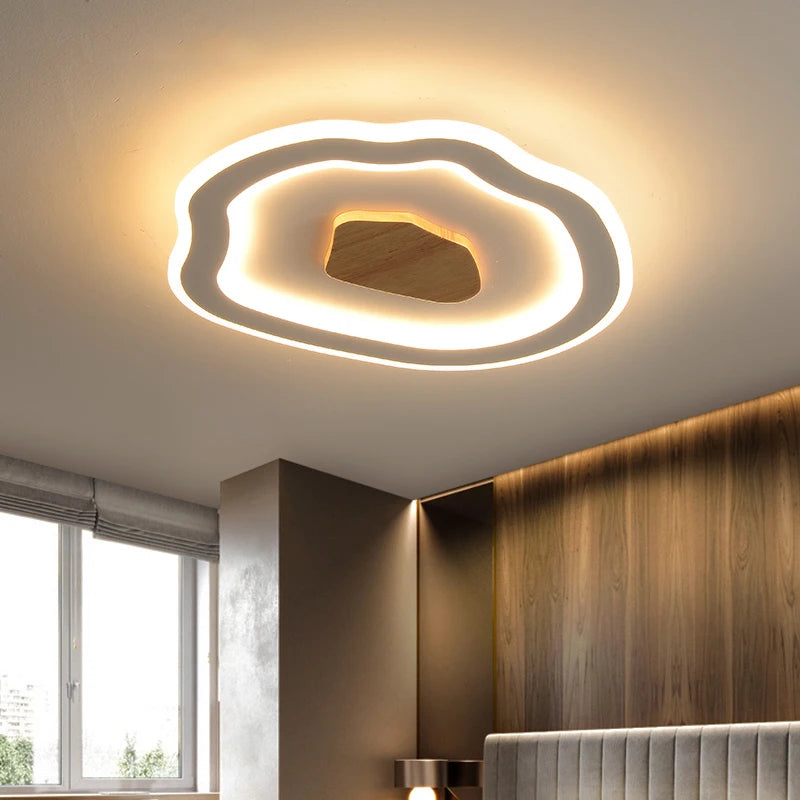 plafonniers nordiques modernes simples à led créatifs - vue 4 sur 12