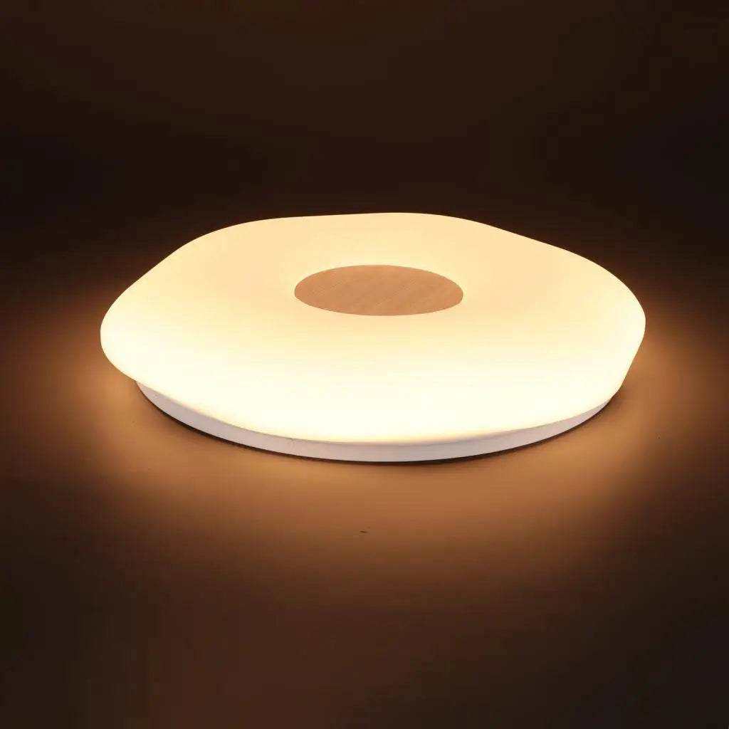 LED-Deckenleuchten Vintage für industrielle und retro-inspirierte Innendekoration - vue 7 sur 8
