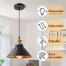 Industrielle Vintage-Pendelleuchte aus schwarzem Eisen dekorativ ideal für Loft